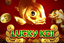 Lucky Koi